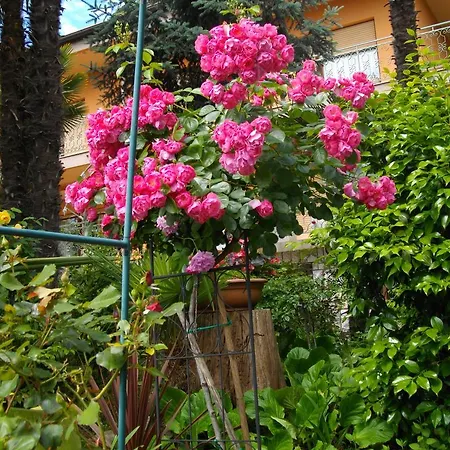 Nives Apartman Lovran