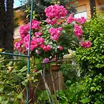 Nives Apartman Lovran